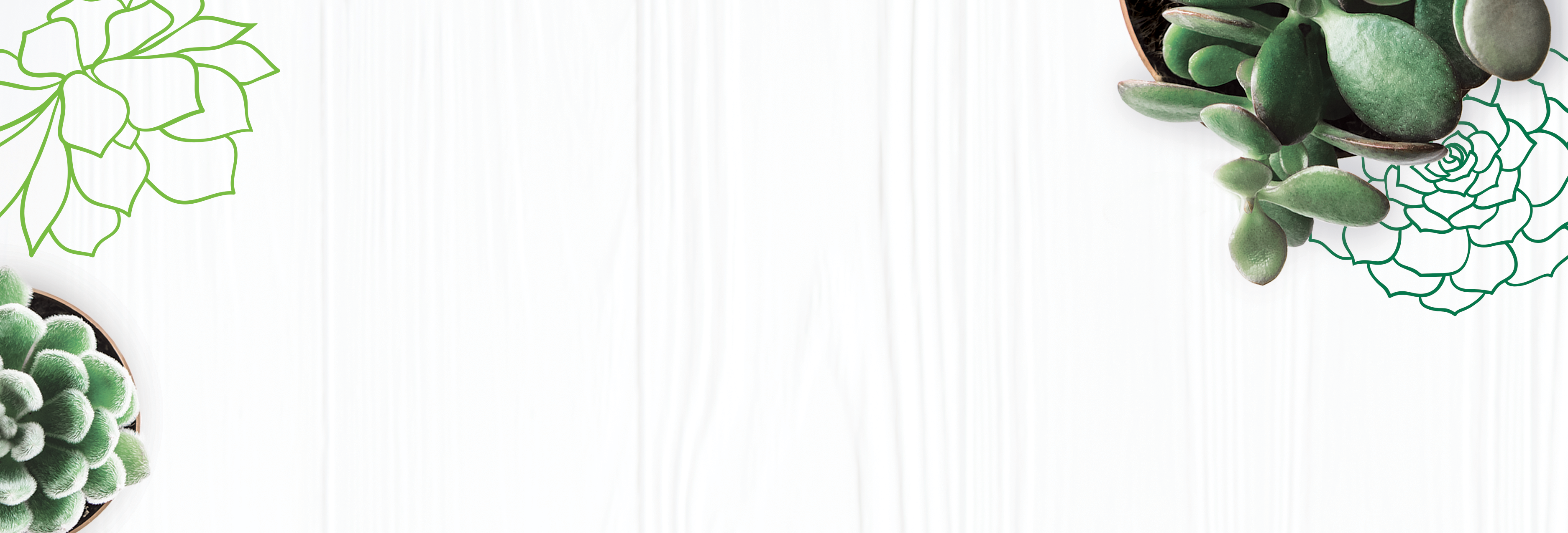 Privacy & Data Request background