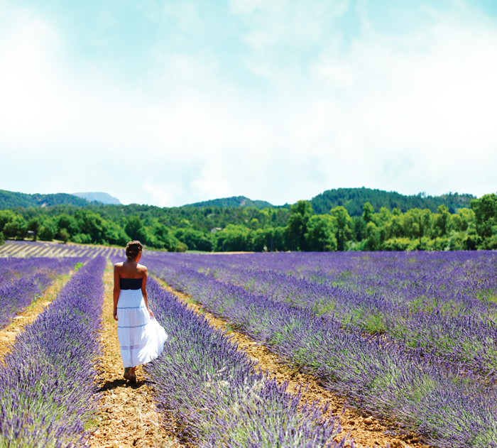 A woman wearing a black bandeau and white tiered skirt walks along one of the paths between rows of lavender growing in a field. 